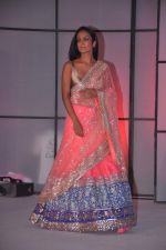 Suchitra Pillai at Pidilite presents Manish Malhotra, Shaina NC show for CPAA in Mumbai on 1st July 2012 (7).JPG